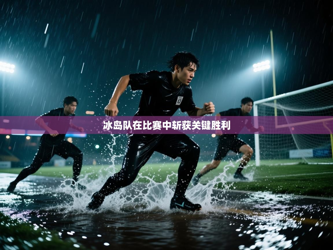 冰岛队在比赛中斩获关键胜利