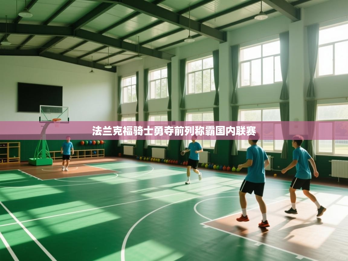 法兰克福骑士勇夺前列称霸国内联赛 第1张