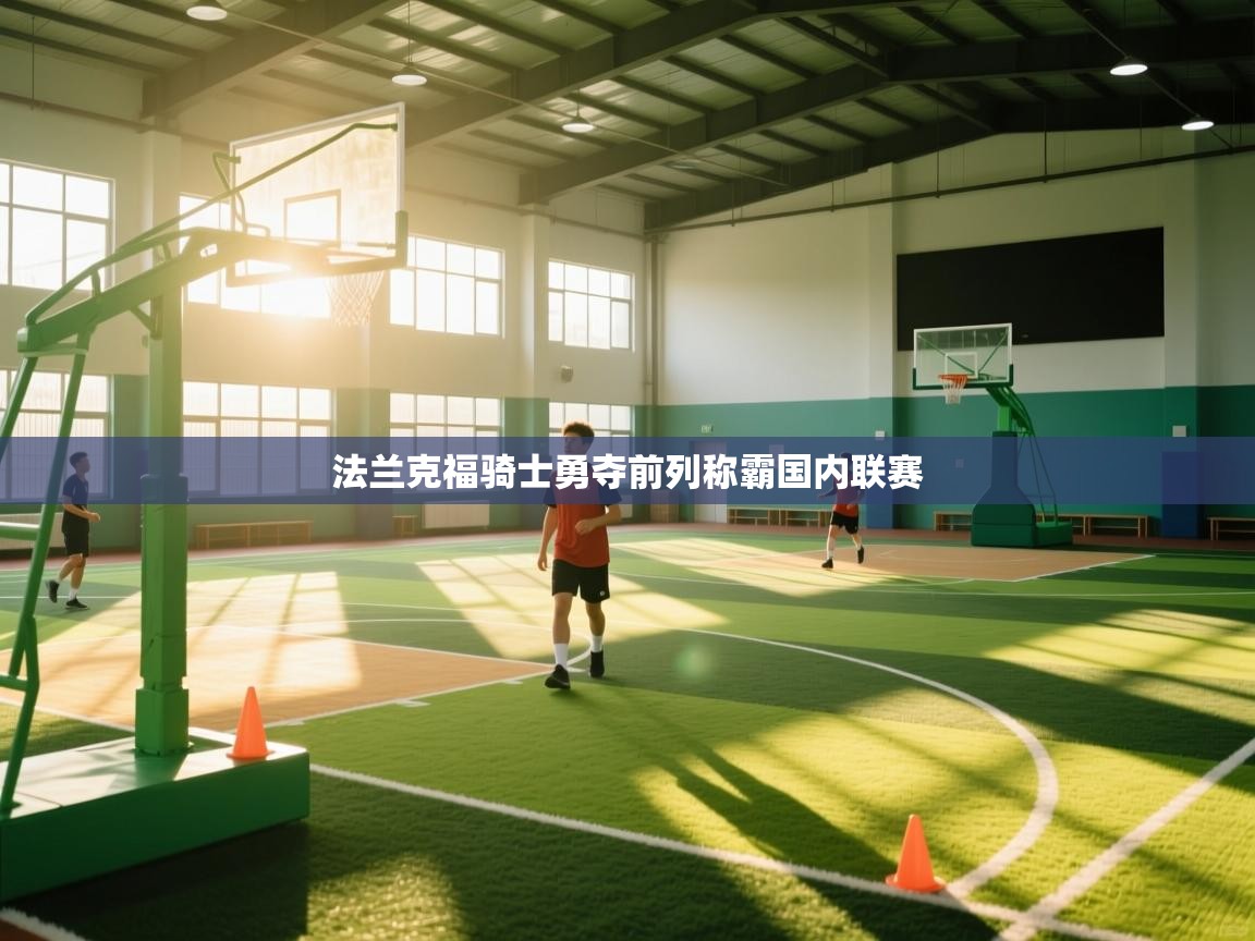 法兰克福骑士勇夺前列称霸国内联赛 第2张