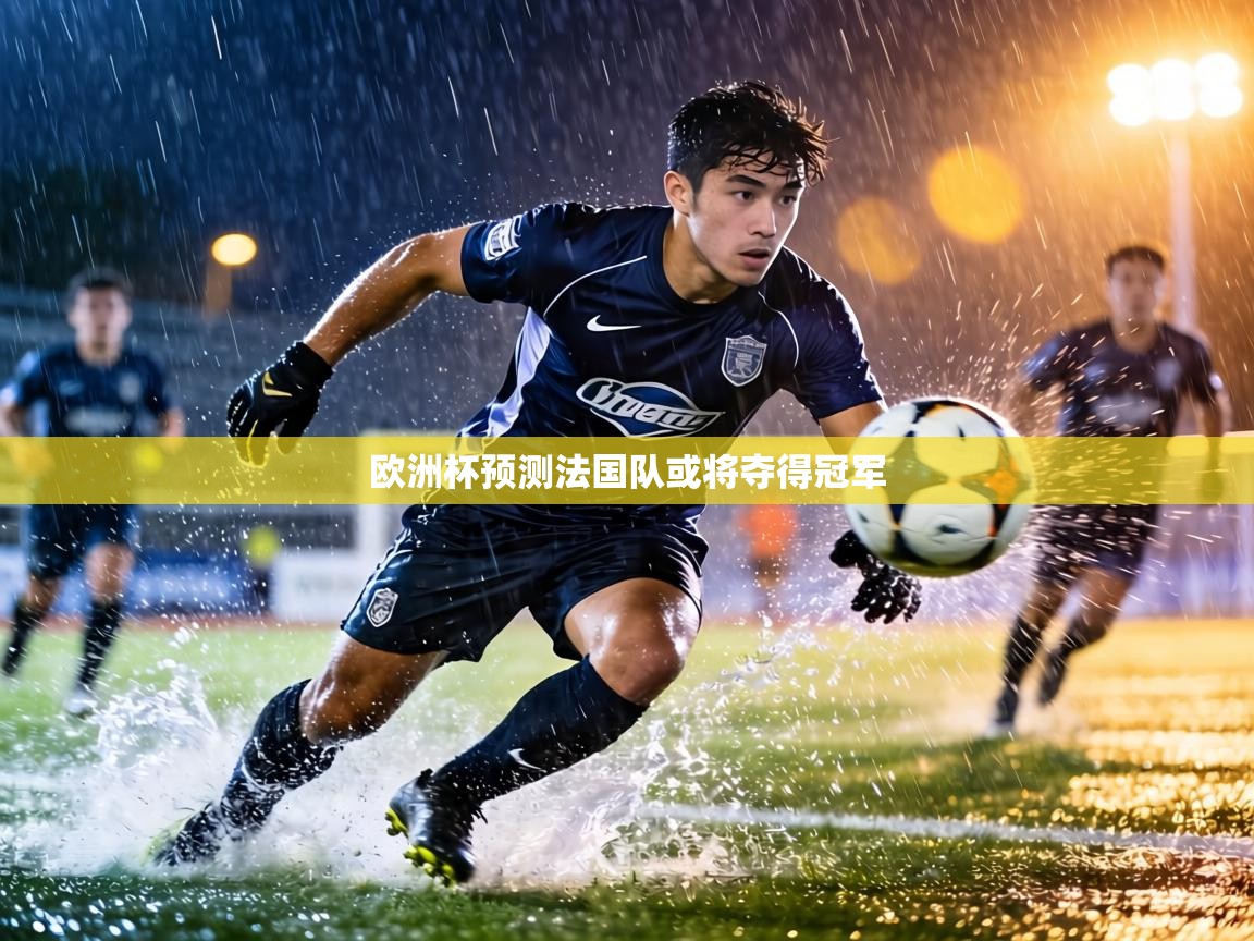 欧洲杯预测法国队或将夺得冠军 第1张